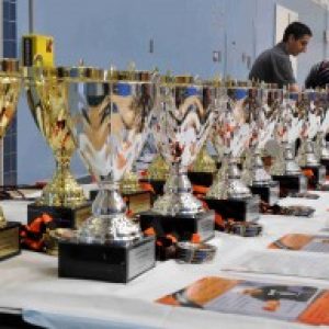 Newport Beach Table Tennis - League Finalists